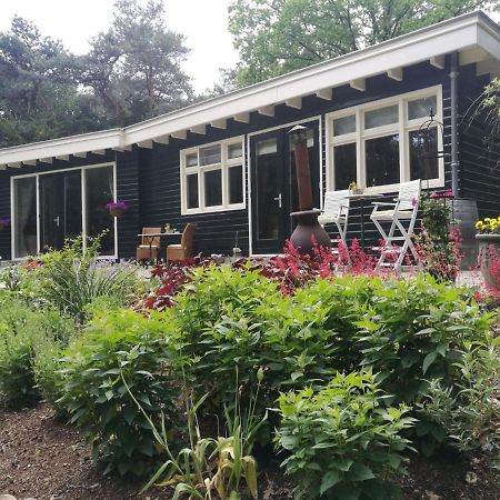 Bosgeluk Bed & Breakfast Helmond Dış mekan fotoğraf
